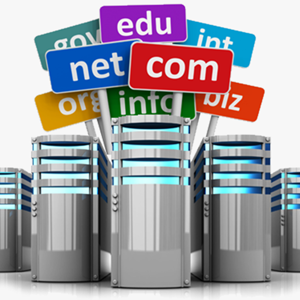 Domain & Hosting